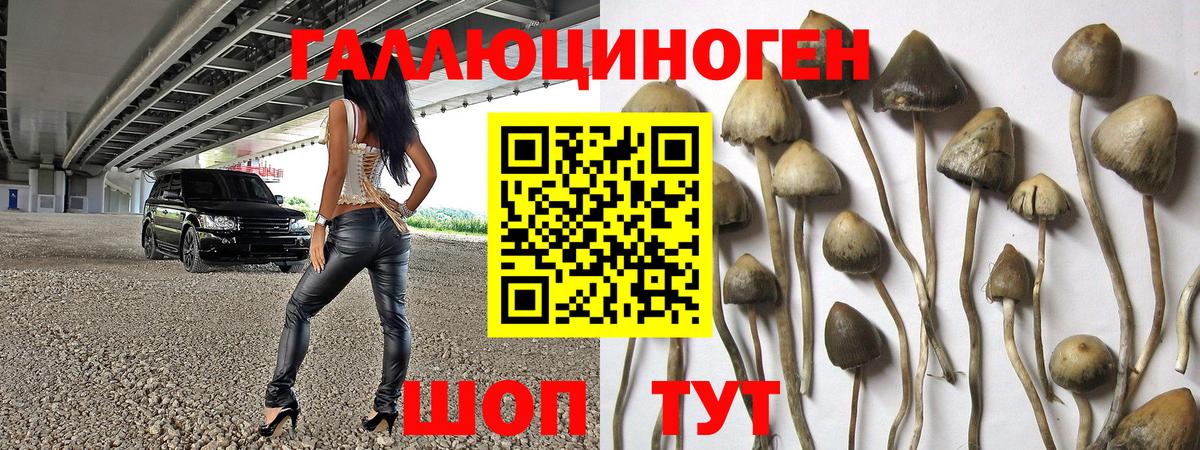 Соль-Илецк  Галлюциногенные грибы мицелий  Галлюциногенные грибы MAGIC MUSHROOMS  Вход с VPN 